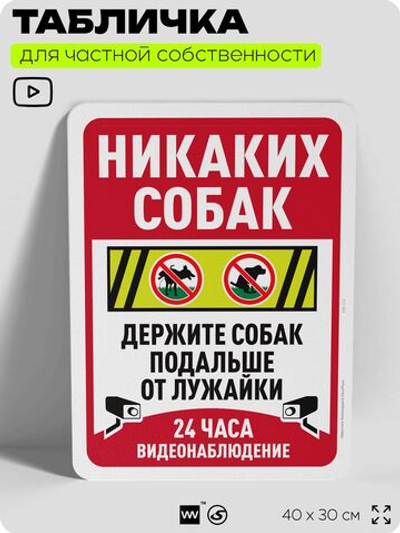 Табличка для частной территории "Никаких собак", на дом, для участка, организаций и частных территорий, предупреждающая, 40х30 см, Silver Plane x Айдентика Технолоджи