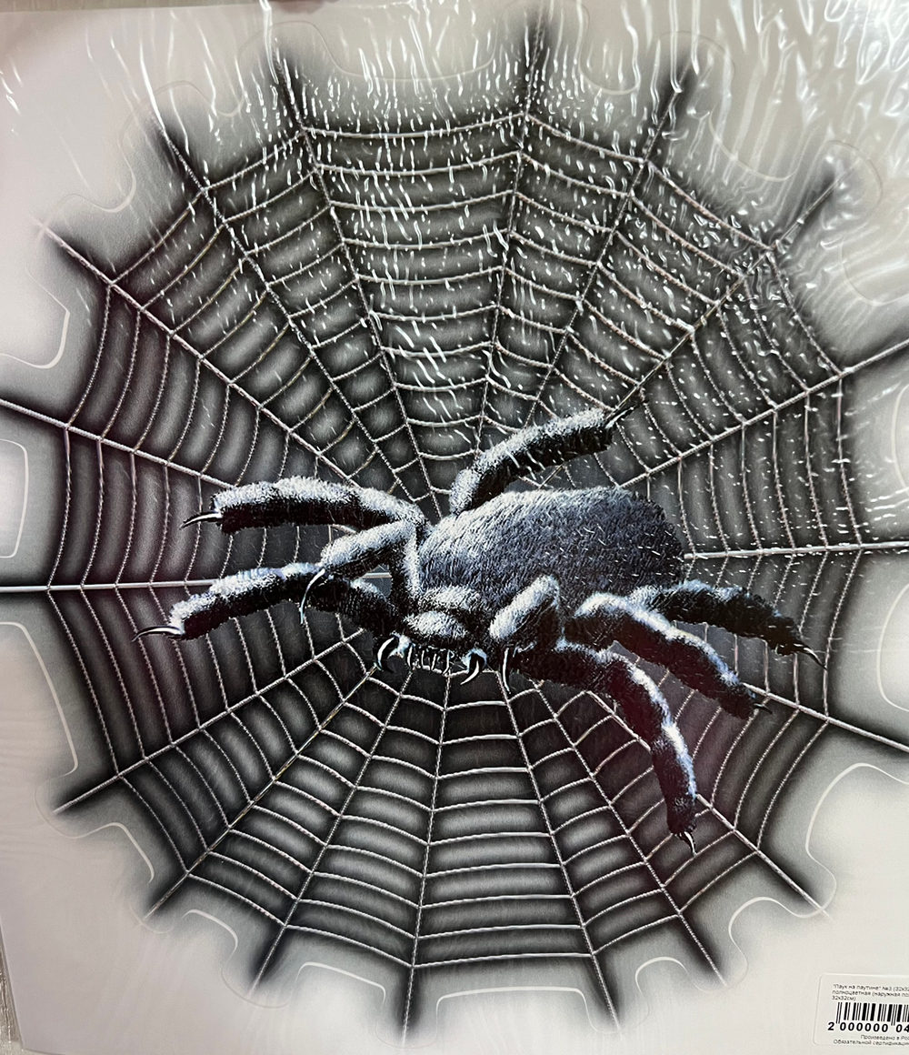 Наклейка "Паук на паутине" рисун.№3,наружная полноцветная 16,5*16,5см 04746