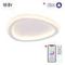 Потолочный светодиодный светильник Citilux Trio CL215B220