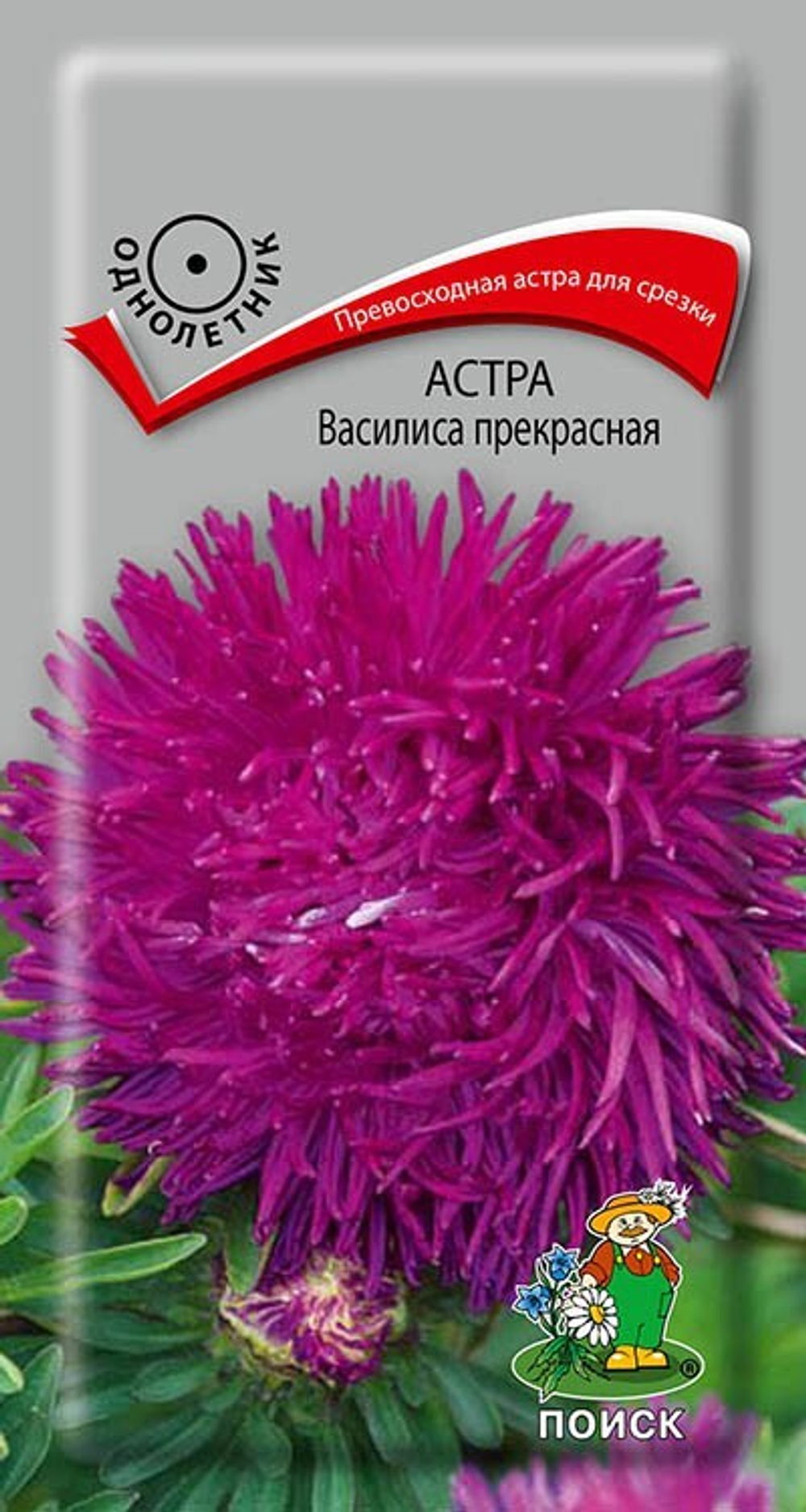 astra_vasilisa_prekrasnaya_tsv_1_0_3gr_v_sortovye_semena