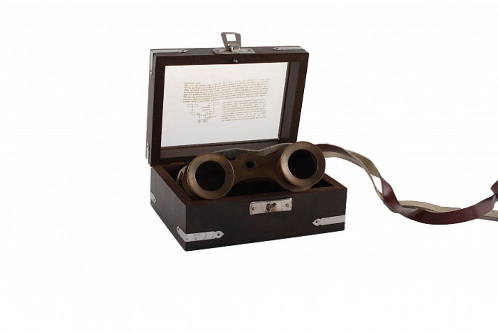 Р‘РёРЅРѕРєР»СЊ РІ РґРµСЂРµРІСЏРЅРЅРѕР№ РєРѕСЂРѕР±РєРµ