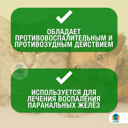 СУРОЛАН суспензия для лечения отитов, препарат для ушей, 15 мл