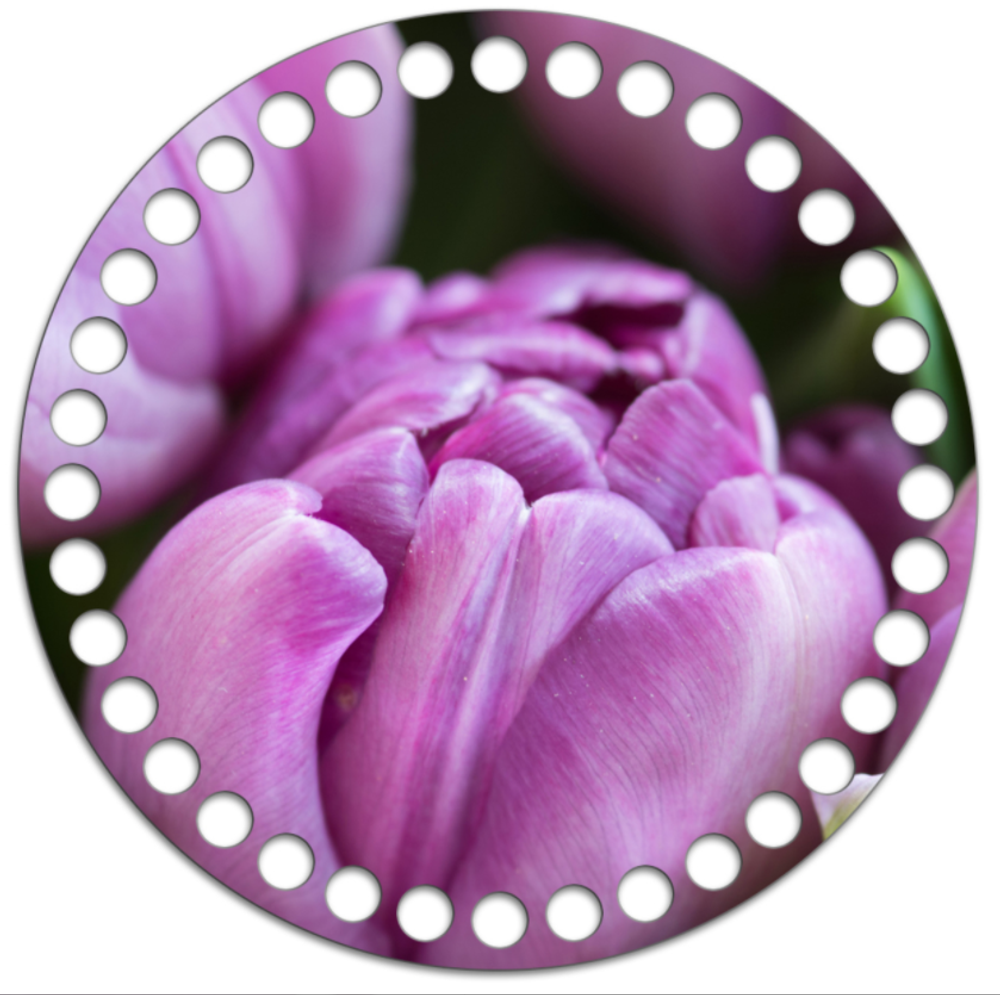 Донышко Принт 15см