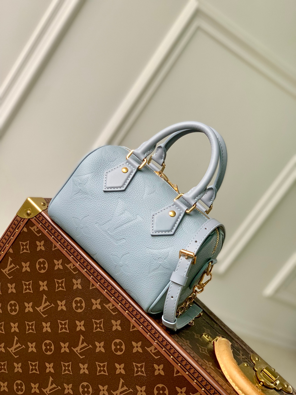 Louis Vuitton Speedy 20