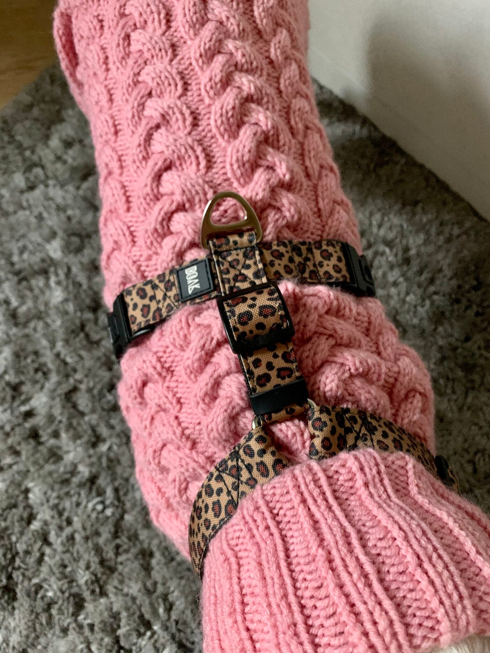 Шлейка Неуловимый леопард, наличие