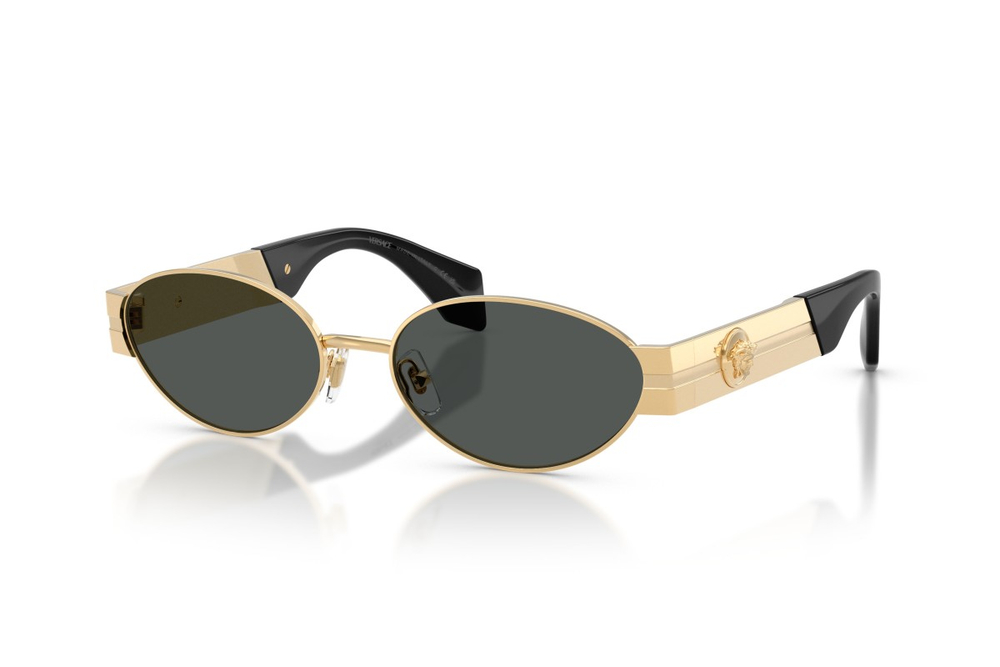 Versace 2301