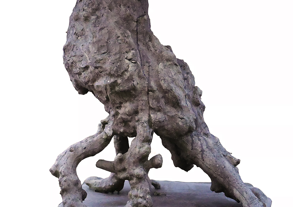 Бонсай 200 см