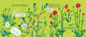 Сорные травы