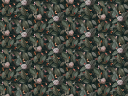 Коллекция EDEN SEASONS