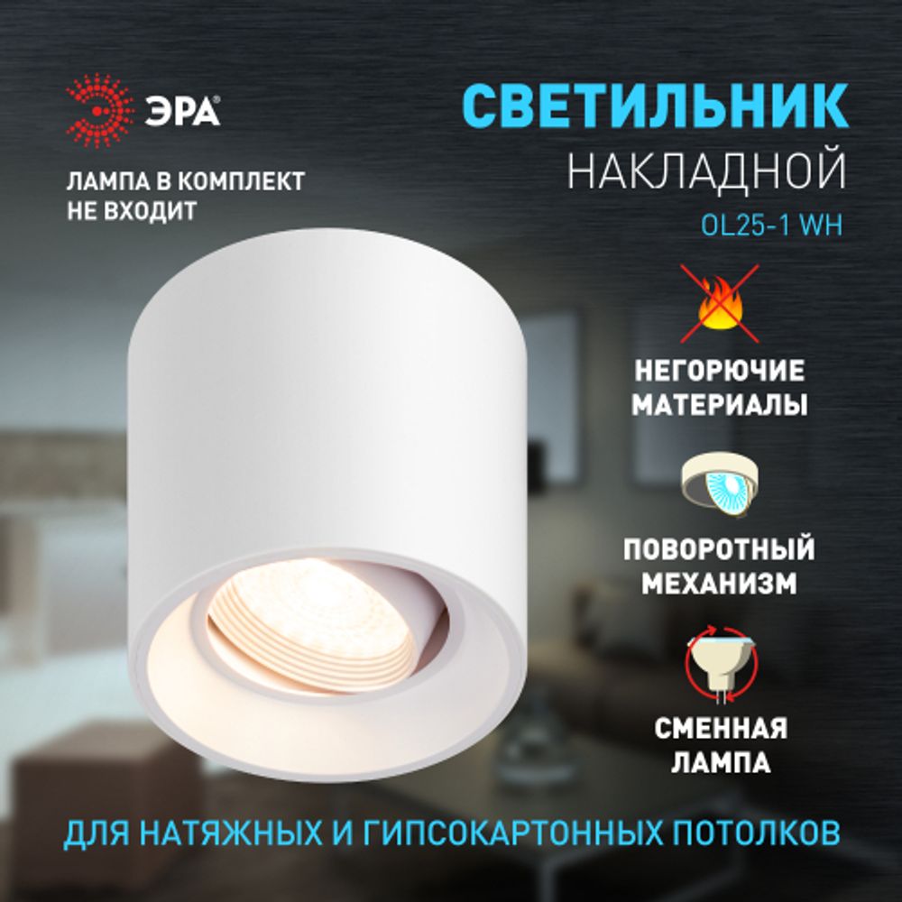 Светильник настенно-потолочный спот ЭРА OL25-1 WH MR16/GU5.3, белый, поворотный
