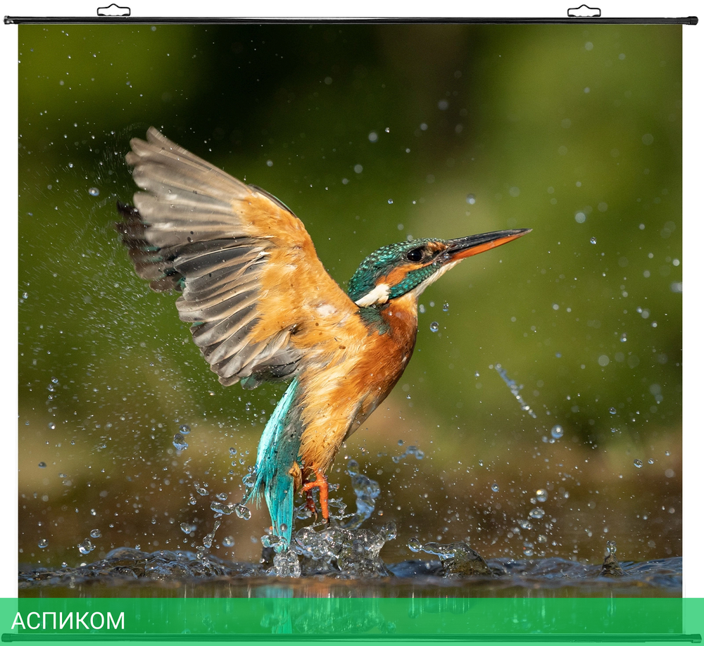 Проекционный экран Cactus CS-PSRM-150x150-BK черный