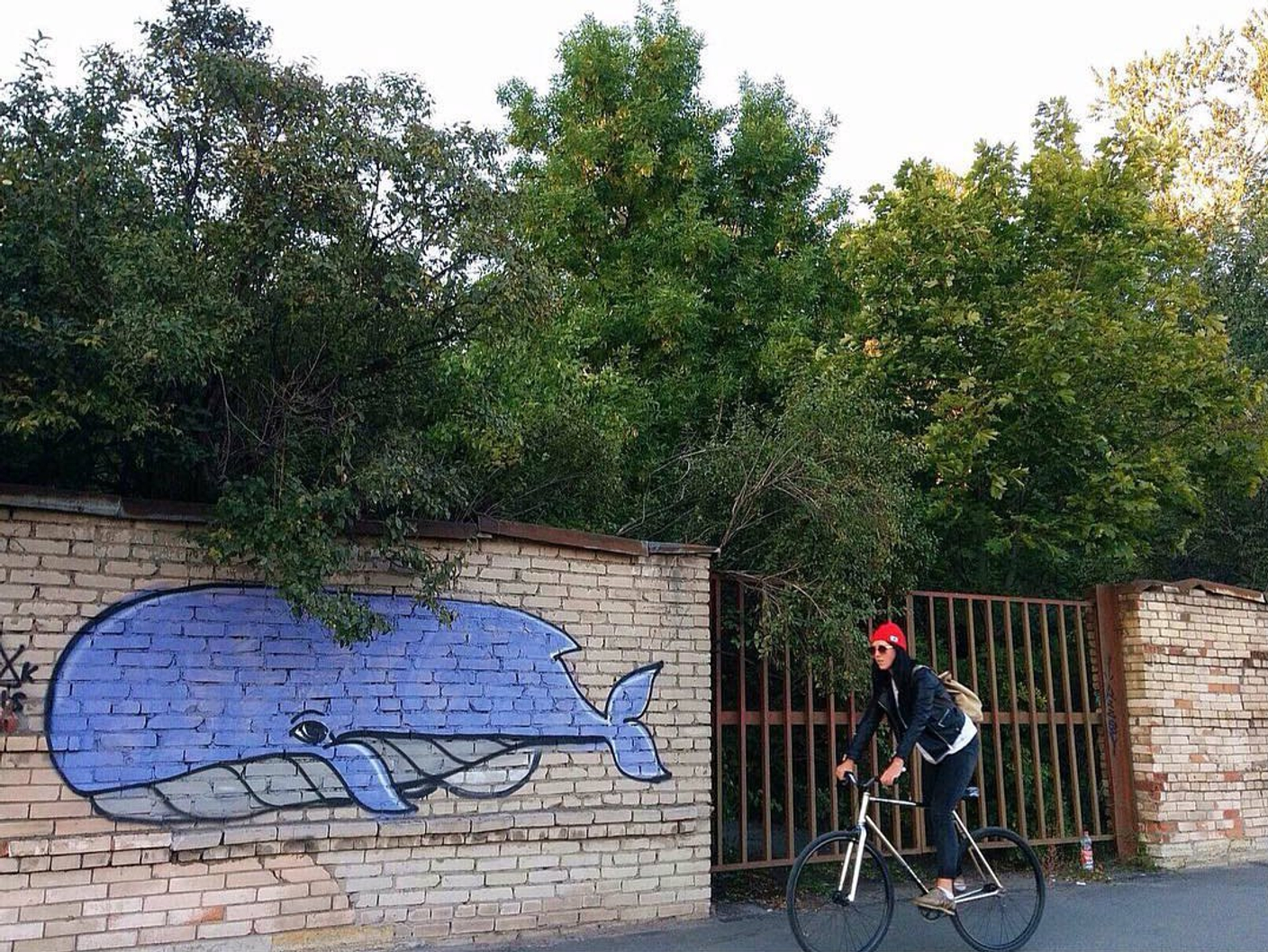 Вера в погоне за китом