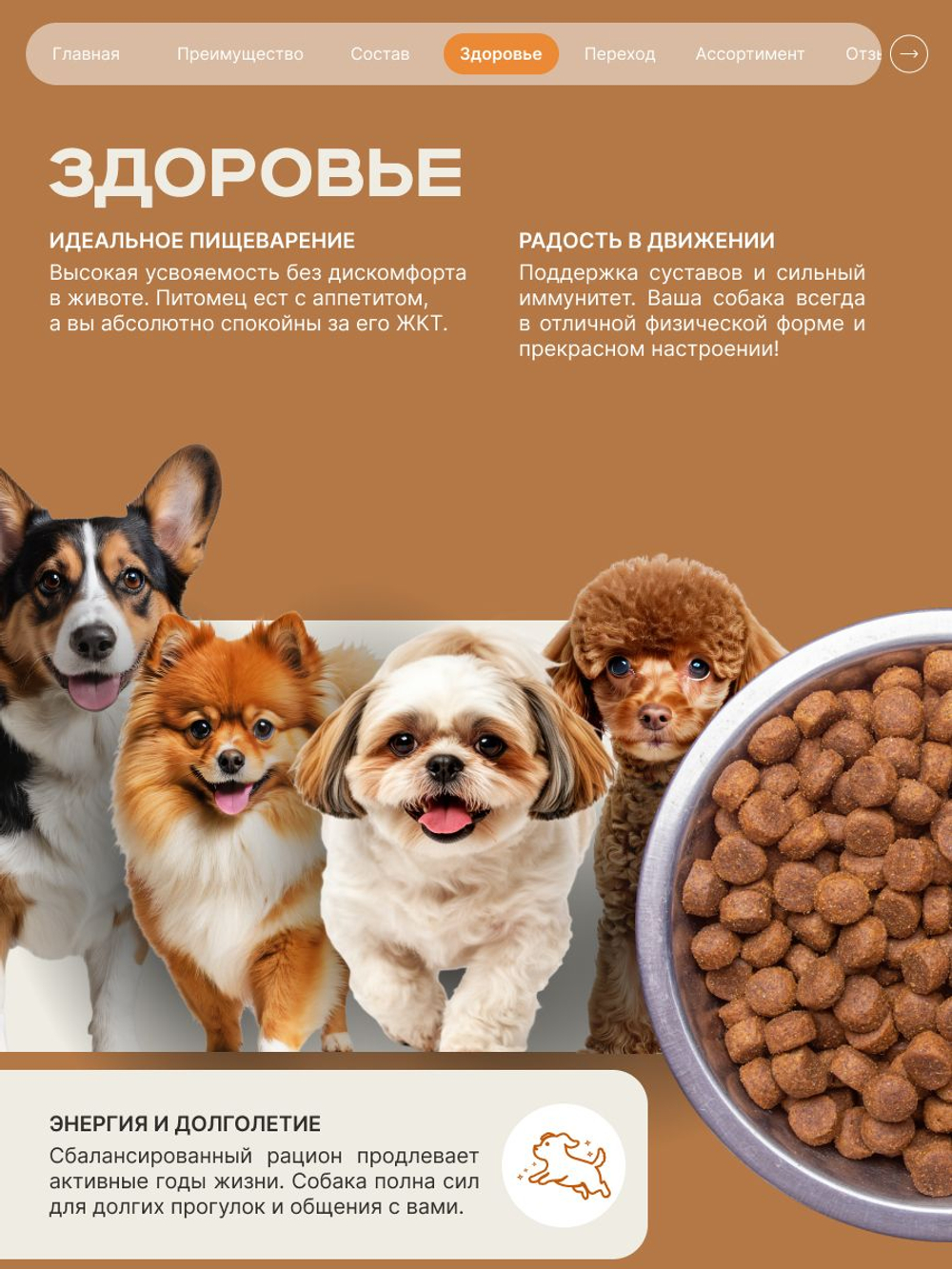 Корм сухой для взрослых собак породы Мопс, с индейкой, 3 кг, QUATTRO
