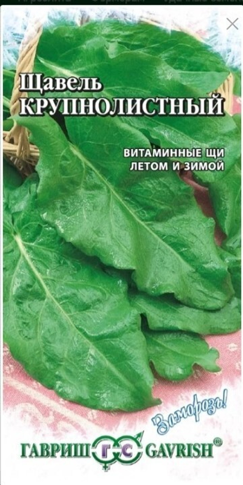 Щавель Крупнолистный