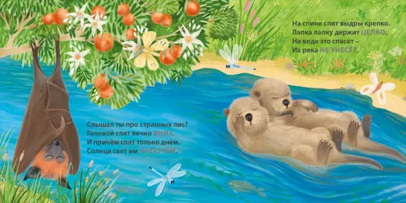 Книжки - картонки. Загадки - рифмы. Кто как спит