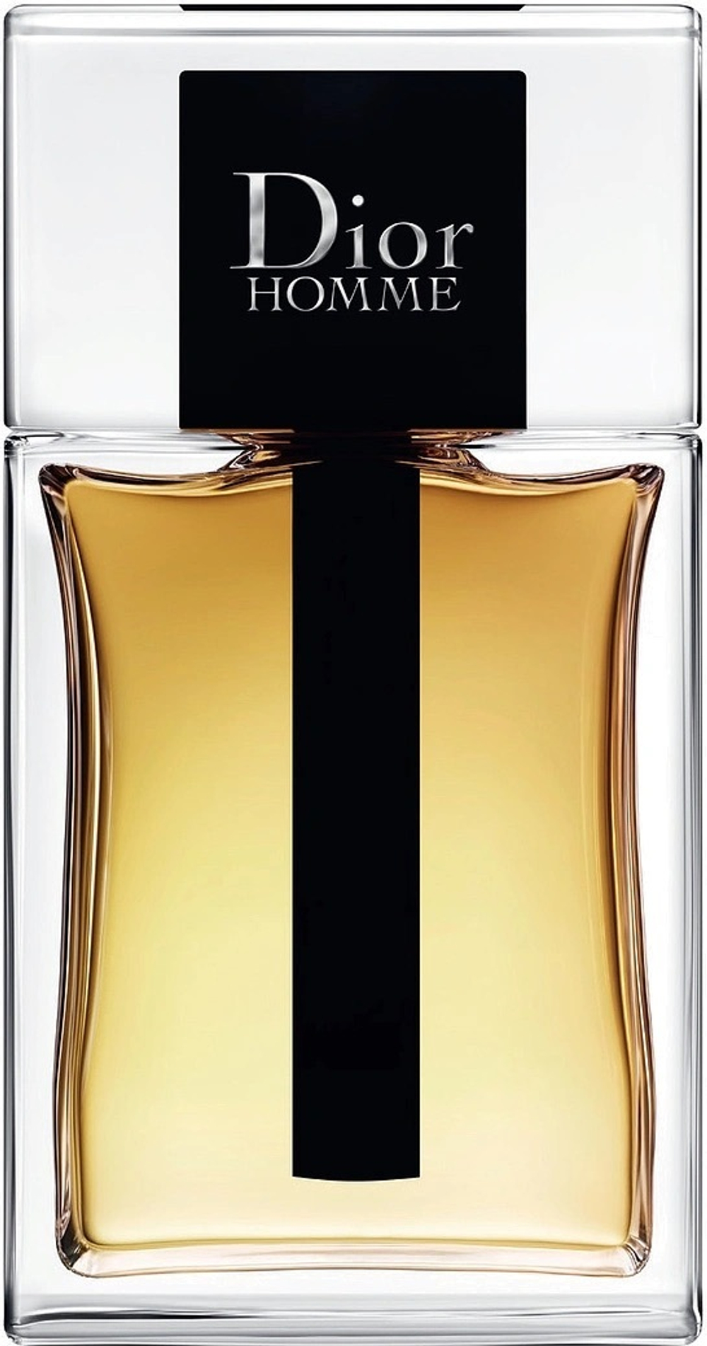 Christian Dior Homme 2020