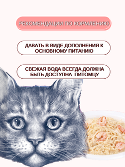 Wanpy Cat Пауч для кошек из курицы и креветок 85 г