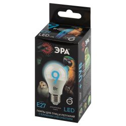 Лампа для птиц и рептилий ЭРА Chicken с UVB спектром FITO-Dim 9W E27