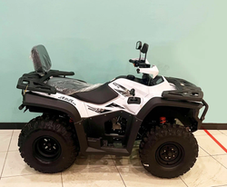 Квадроцикл BASHAN EXPLORER 300 BASIC
