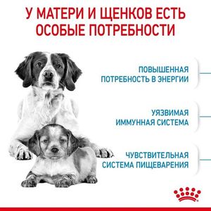 Корм для щенков до 2-х месяцев и беременных сук, Royal Canin Medium Starter Mother & Babydog