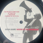 Bryan Adams - Waking Up The Neighbours 2LP (Голландия 1991г.)