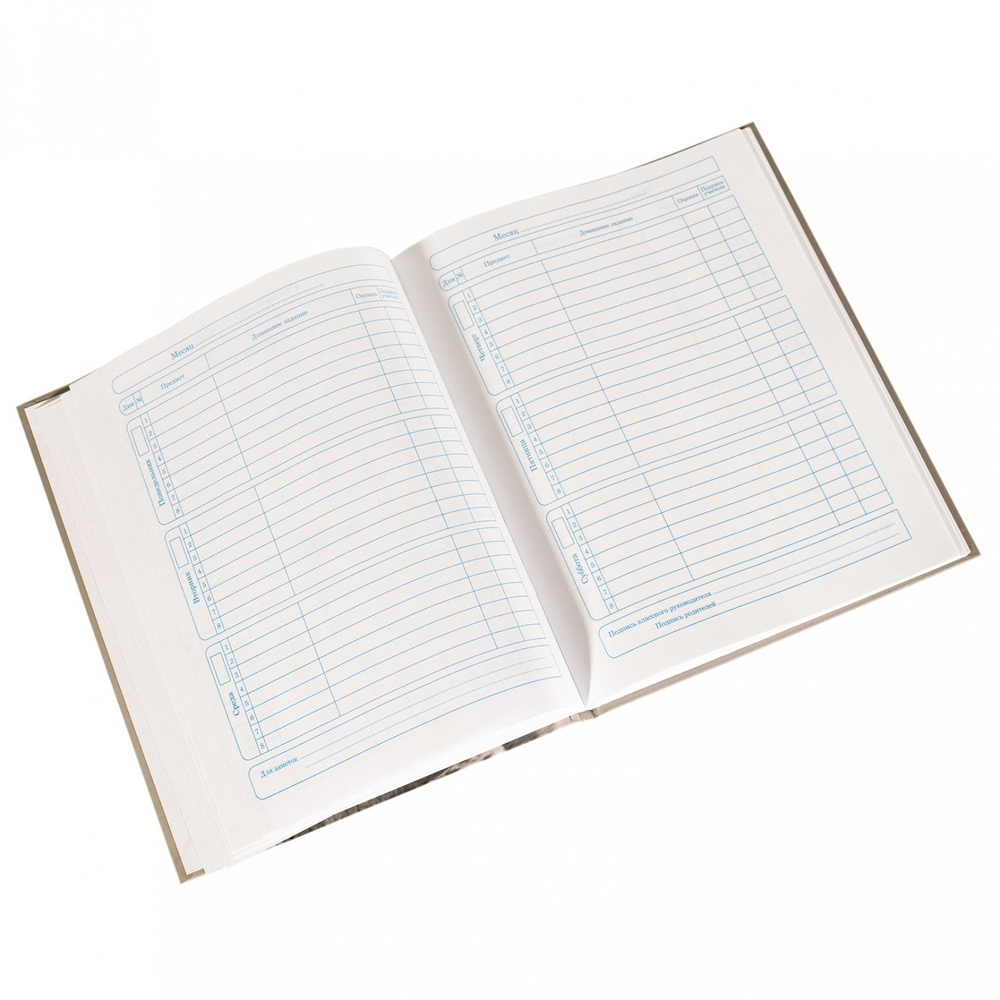 Дневник школьный Alingar, 1-11 кл., 48л., 7БЦ, матовая ламинация, поролон, выб УФ лак, "Нежность"