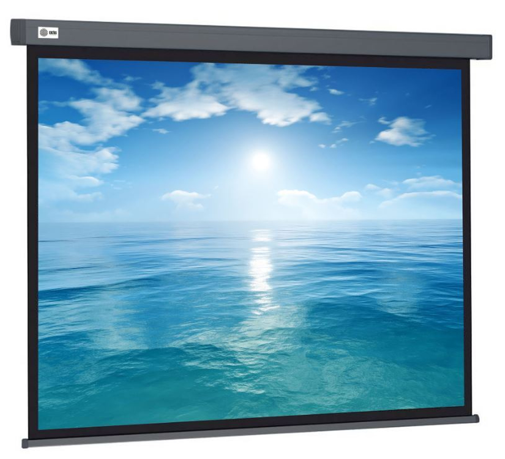 Экран  Cactus CS-PSW-124X221-BK