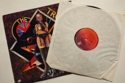 Винтажная виниловая пластинка LP The Troggs (USA 1975)