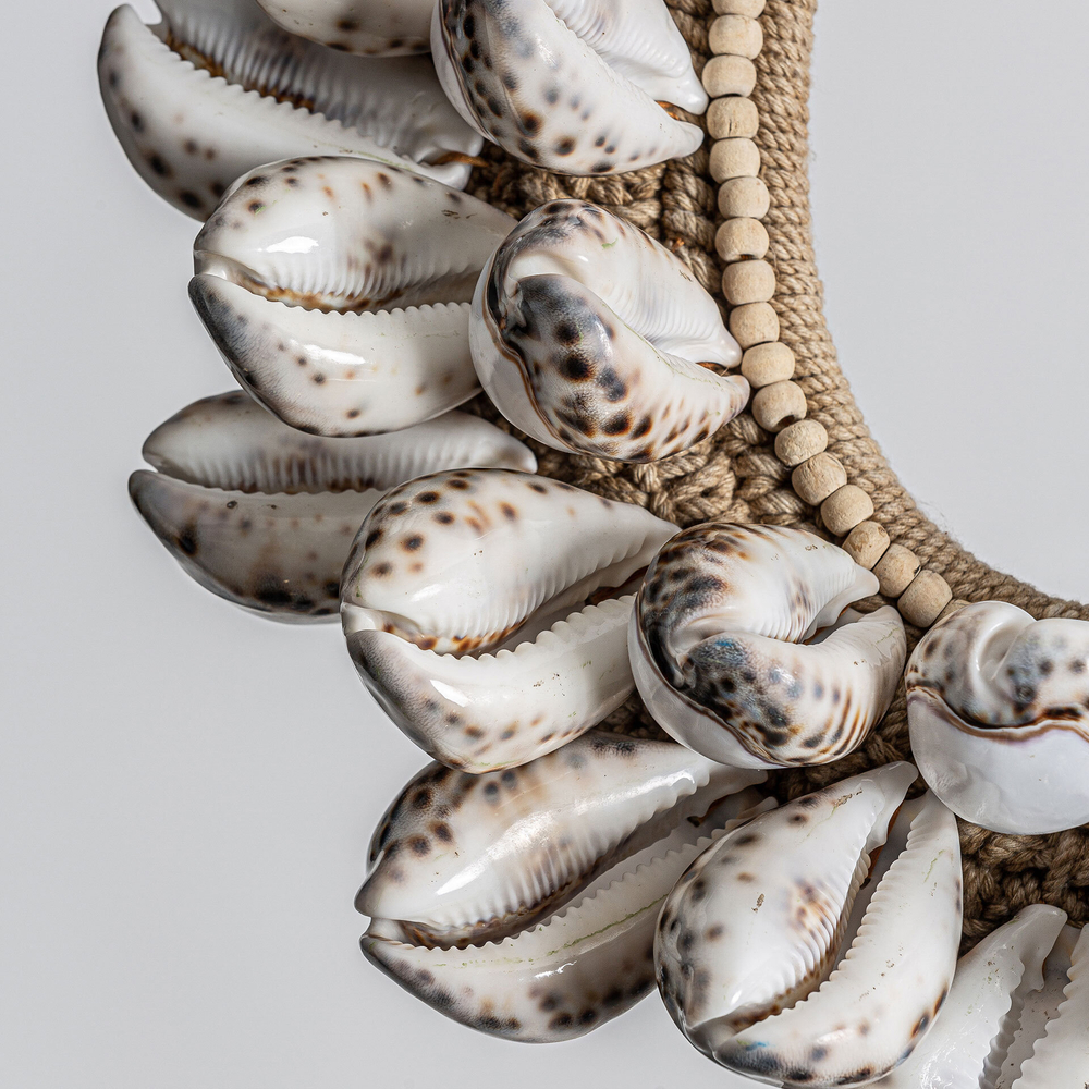 Фигурные ракушки 20557