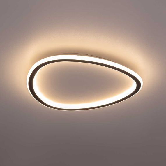 Потолочная люстра Citilux CL215B241E