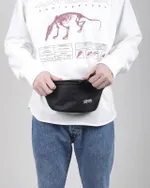 Сумка поясная Anteater Waistbag Light Black