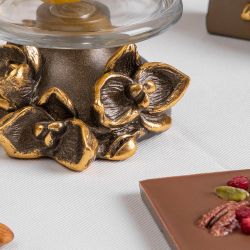 Лимонница Орхидея Лайм Бронза