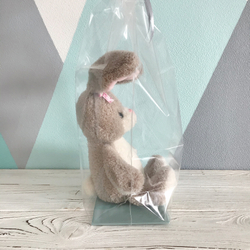 Прозрачный пакет с жестким дном, 11х17х60 см