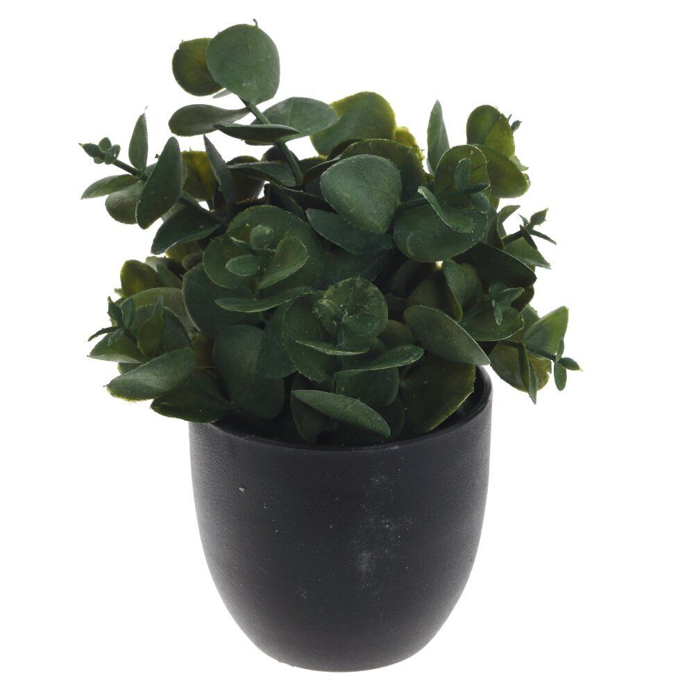 GAEM Цветочная композиция, L8 W8 H14 см, 3в.