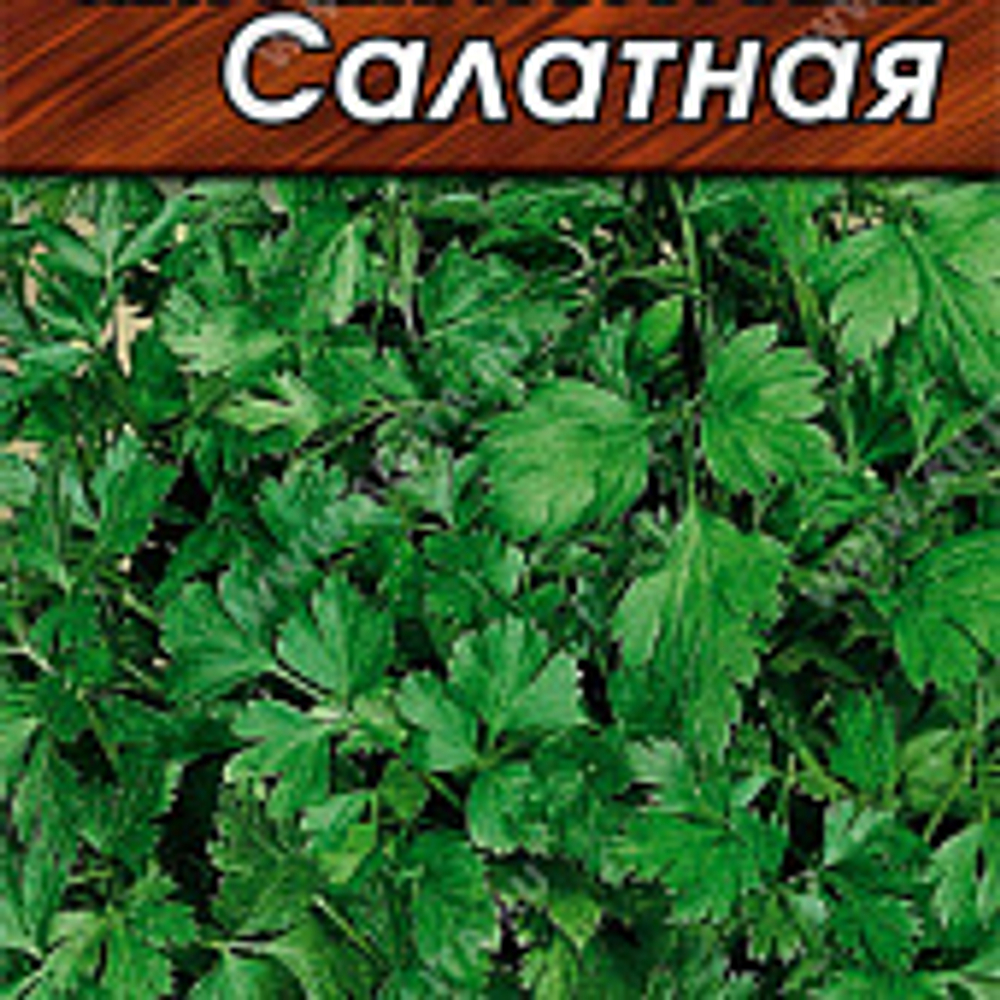 Петрушка листовая Салатная 2г