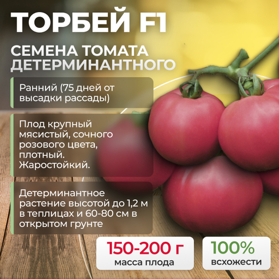 ТОРБЕЙ F1 семена томата (Bejo | Alexagro) культура