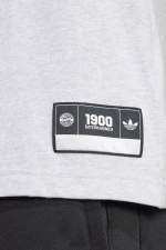 Футболка adidas FC Bayern 24/25 VRCT - серый