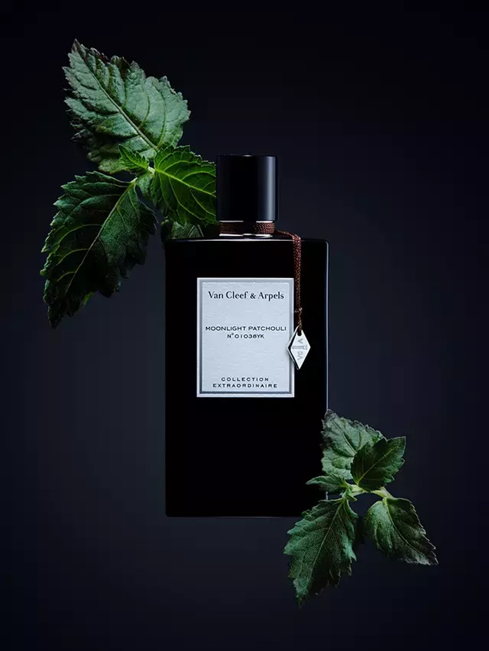 Van Cleef & Arpels Collection Extraordinaire Moonlight Patchouli EDP