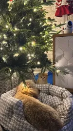 Елка с гирляндой встроенной «Elegance» Элеганс (Литая+пвх) 210 см / 2,1 м