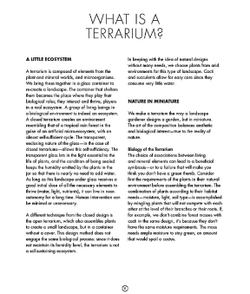 Terrarium: 33 Glass Gardens to Make Your Own