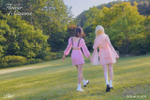 Альбом DIA - Flower 4 Seasons 6th Mini Album 2 Version SET