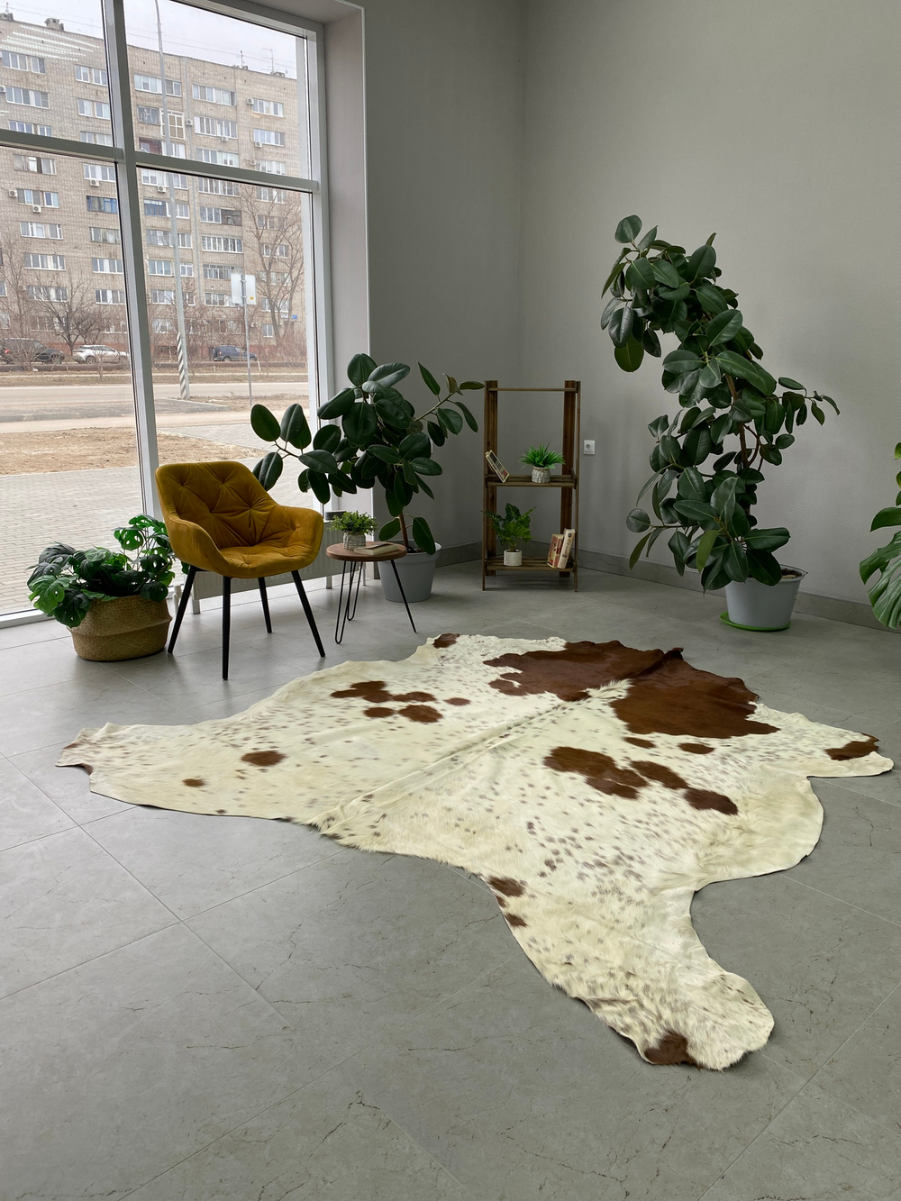 Коровья шкура на пол натуральная с ворсом