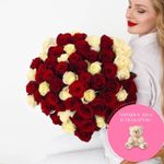 101 Роза красно-белая Эквадор 60см.