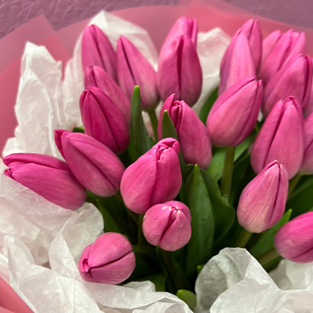 Букет свежих розовых тюльпанов