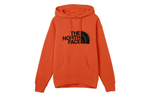 Худи THE NORTH FACE, 4NEQ-R16