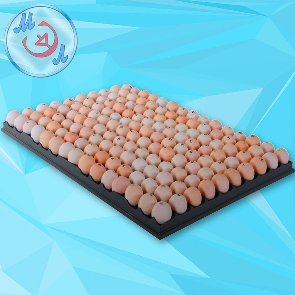 Перекладчик яйца для инкубационных лотков 730х500 мм (Petersime)