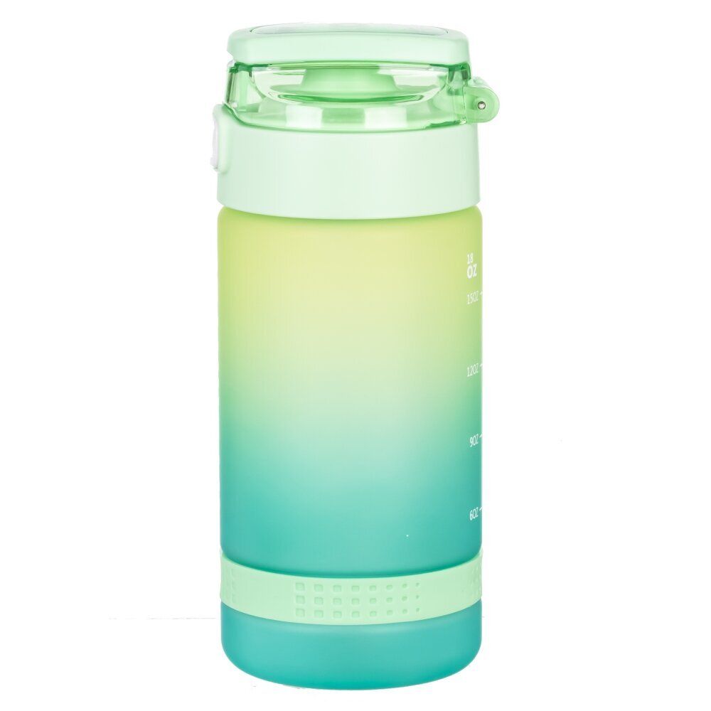 GAEM Бутылка, 550 мл, L7,5 W8 H18 см, 4в.