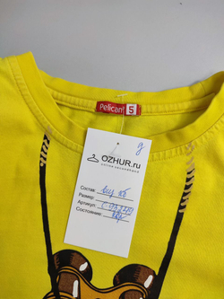 Джемпер Pelican яркий на 5 лет