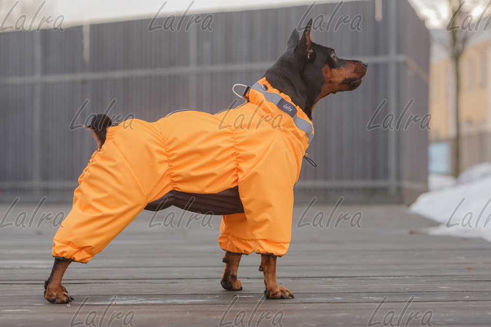 Комбинезон для собак на флисе