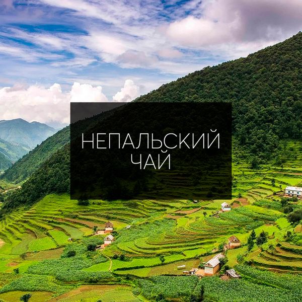 Непальский чай: Уникальное наслаждение из Гималаев